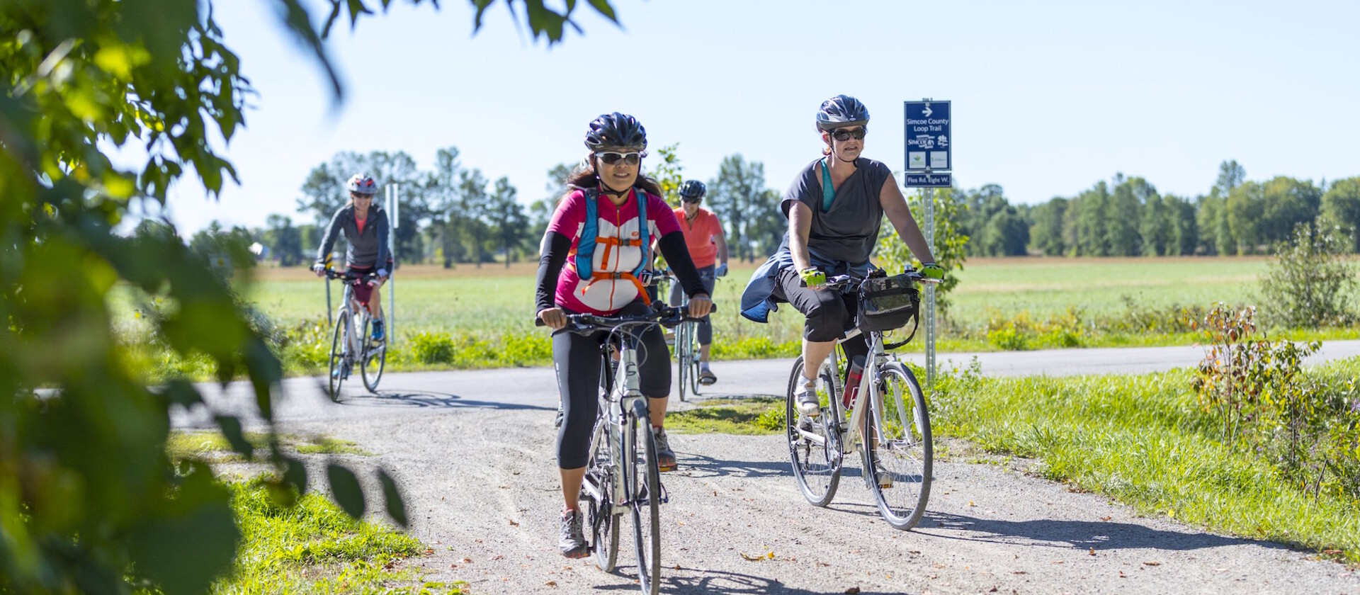 Queens quay bike online shop